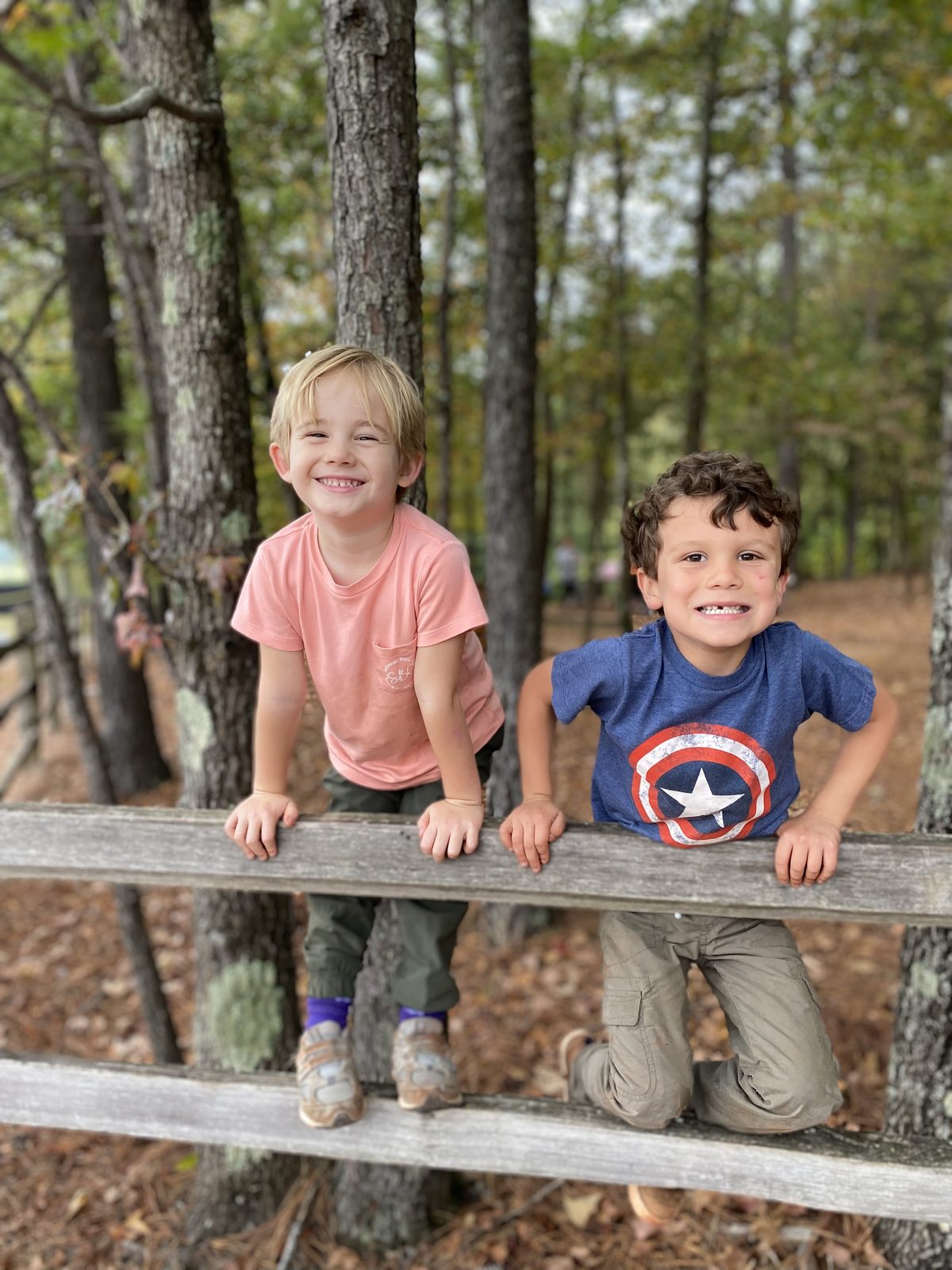 Two kids smiling on a wooden fence in the woods